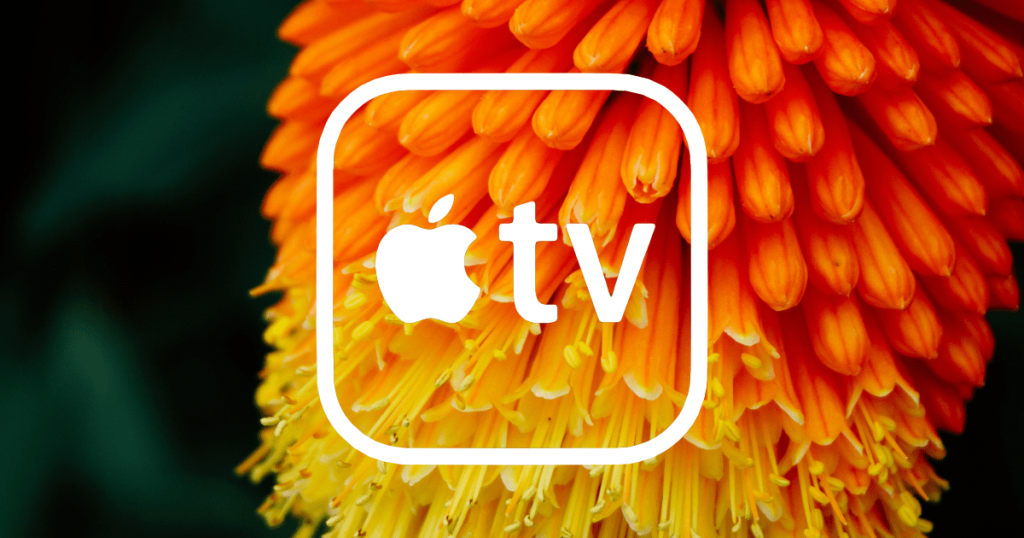 Directv app for macbook pro